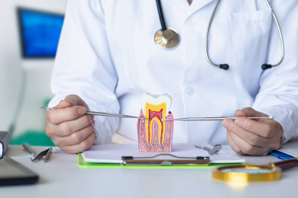 Best Urgent Tooth Repair  in Oakland, OK